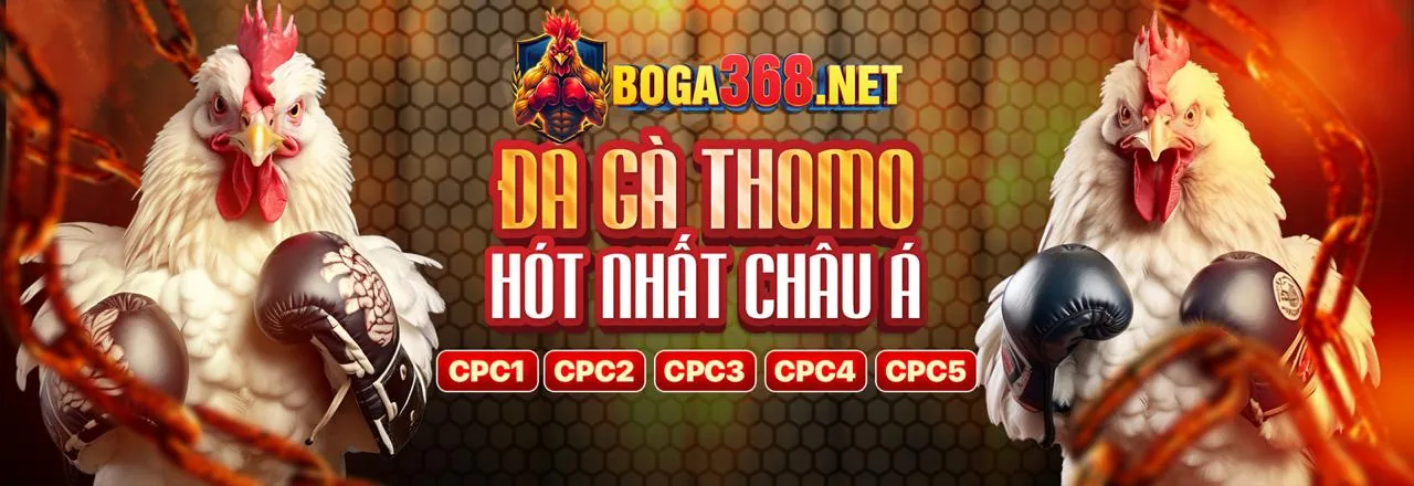 Tin tức fb86 chính thức 2026